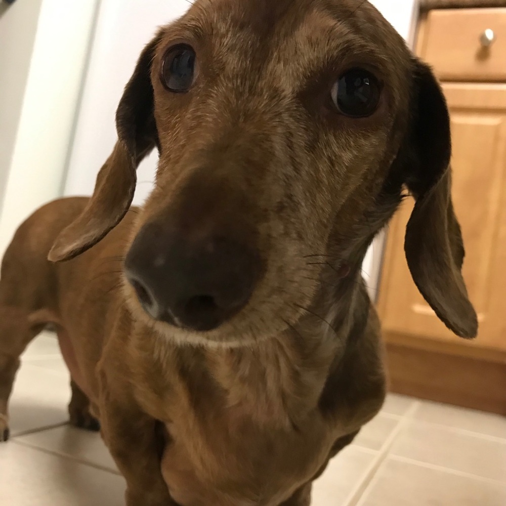 Meet your Posher, Vanessa